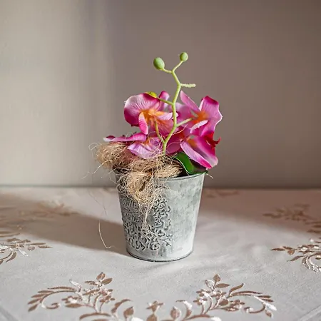 U Repy ホームステイ