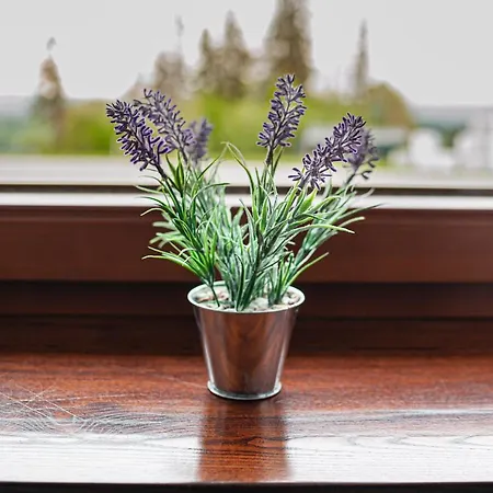 U Repy ホームステイ *