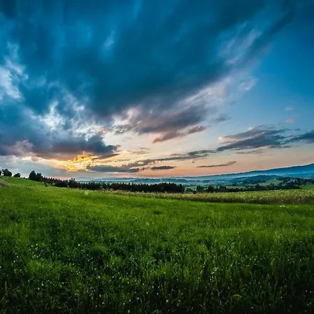 U Repy ホームステイ